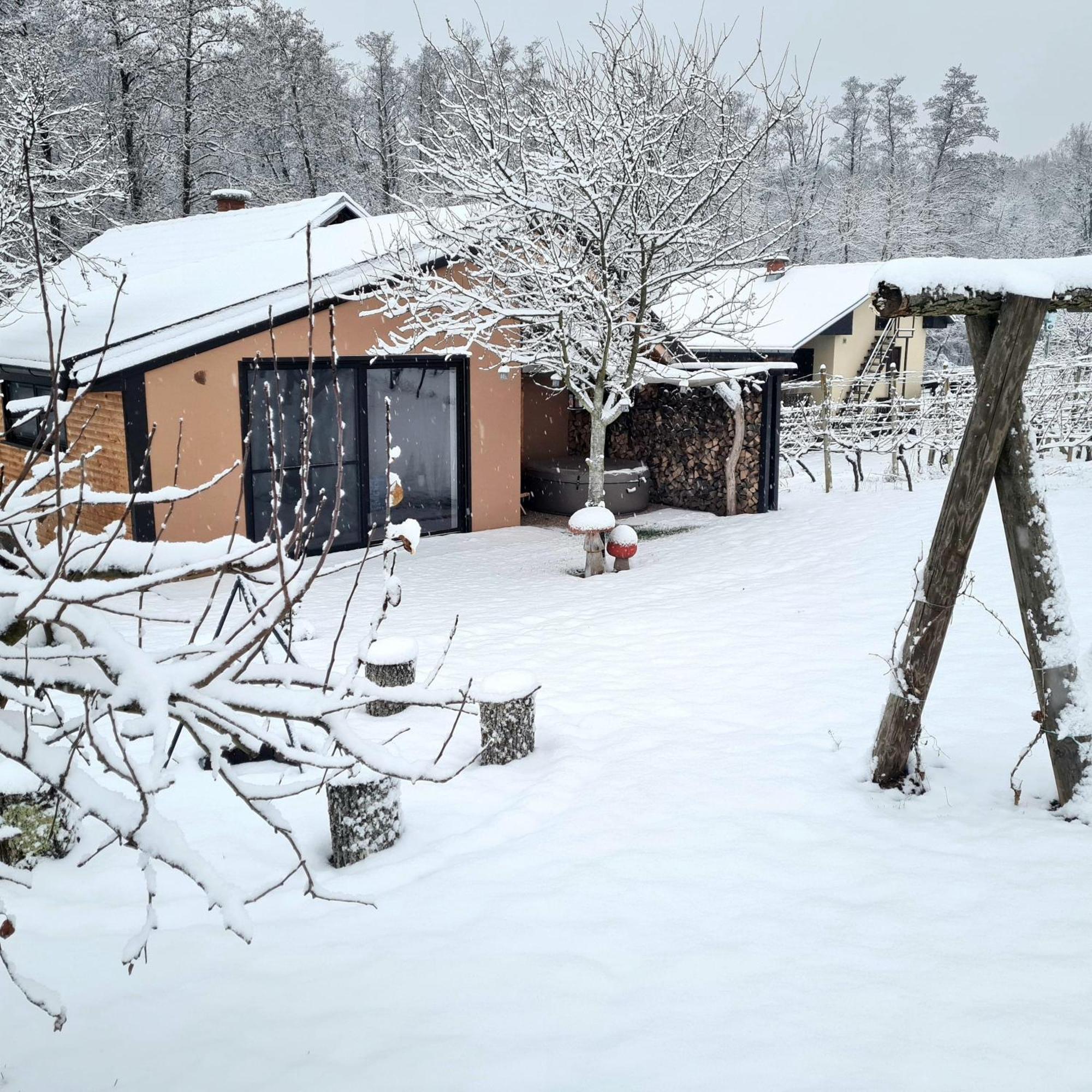 Gozdarjeva Hiska M&K Villa Dobrovnik Buitenkant foto